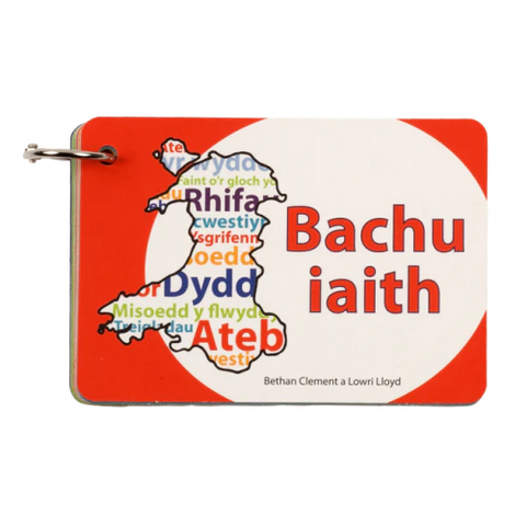 'Bachu Iaith' - Language Guide