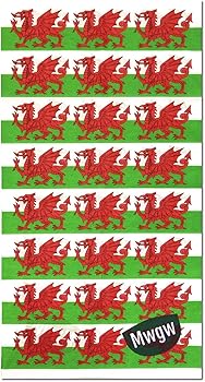 'Bandana Tiwbaidd Y Ddraig Goch' - gan MWGW