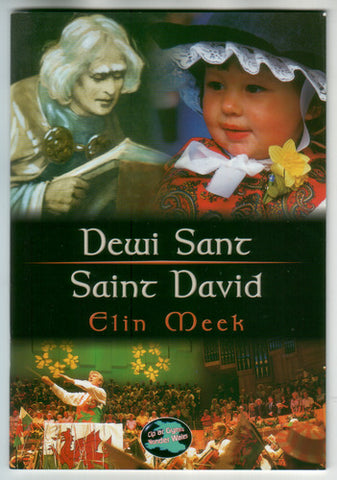 'Dewi Sant / Saint David' by Elin Meek