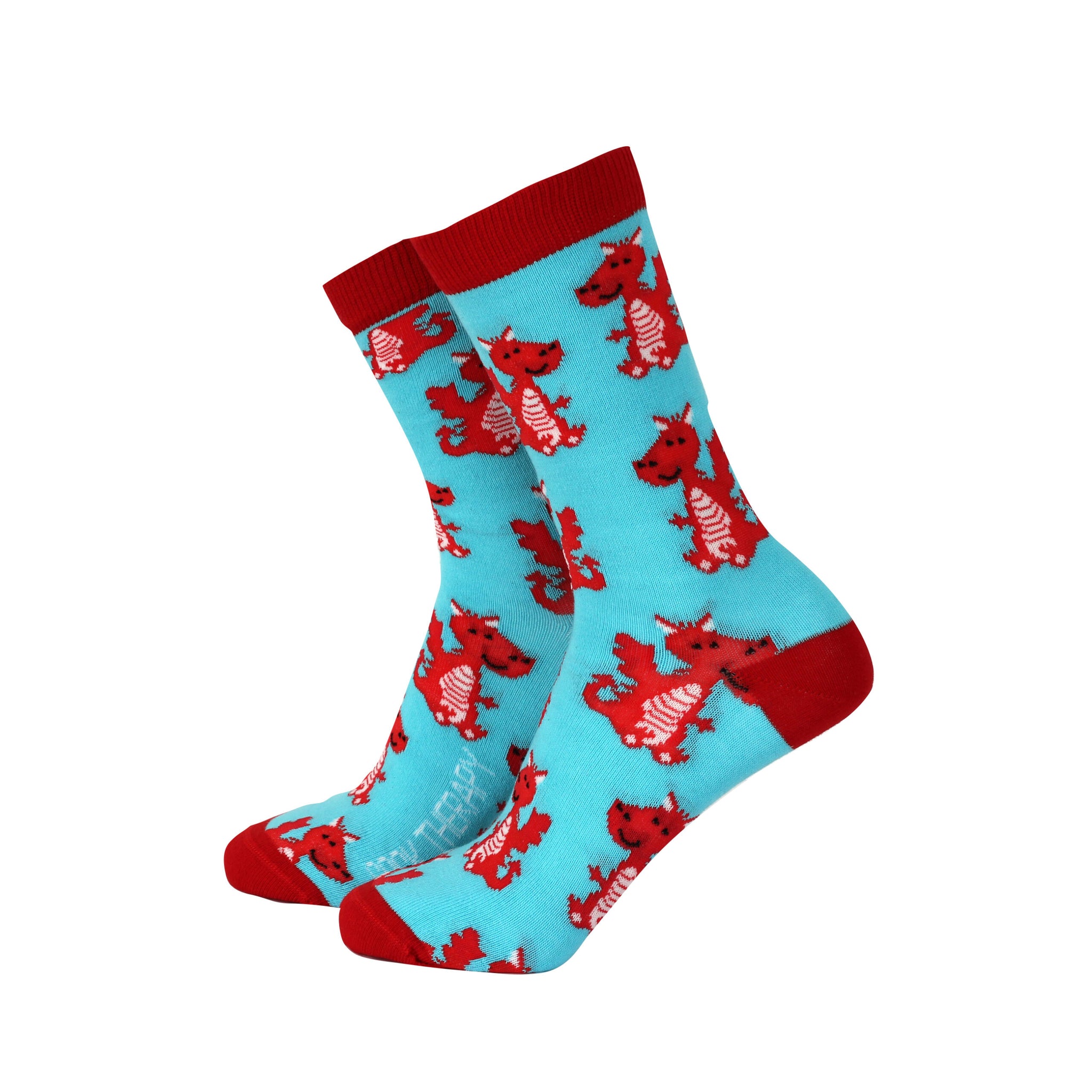 'Little Dragons' Women's Socks