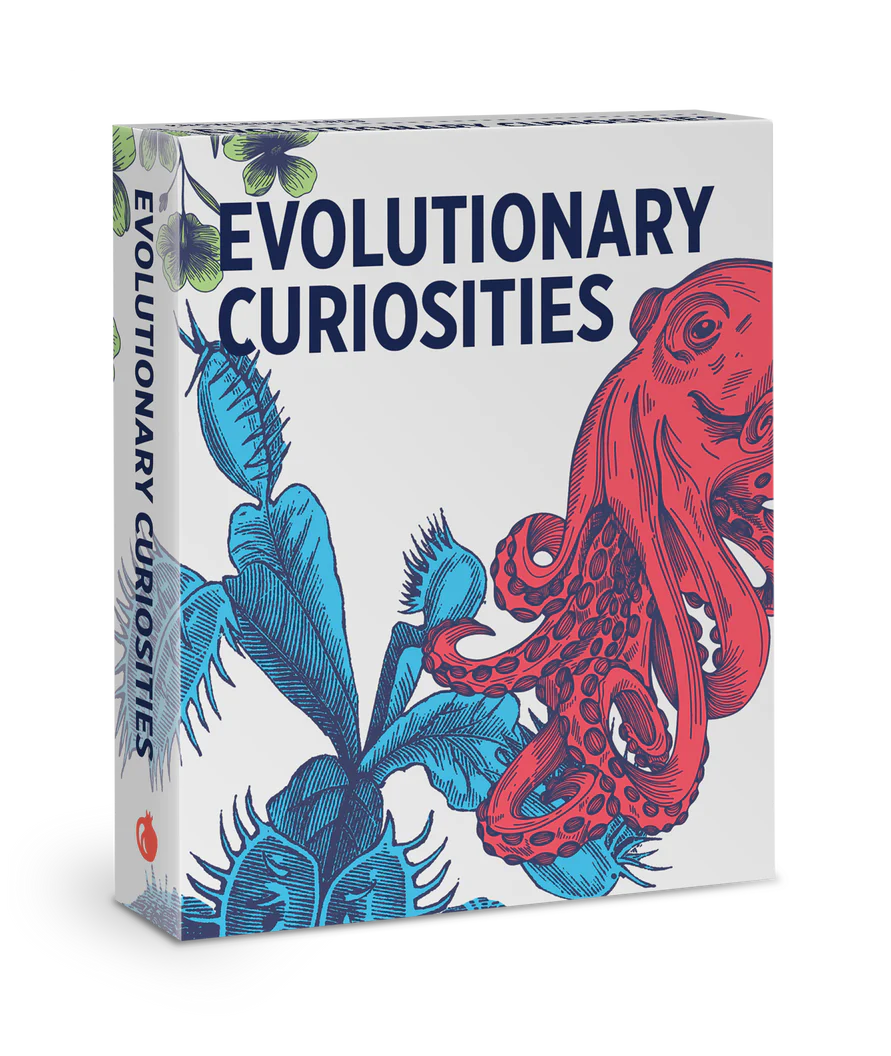 'Evolutionary Curiosities' Knowledge Cards