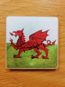 Magned 'Ddraig Goch' gan Lizzie Spikes