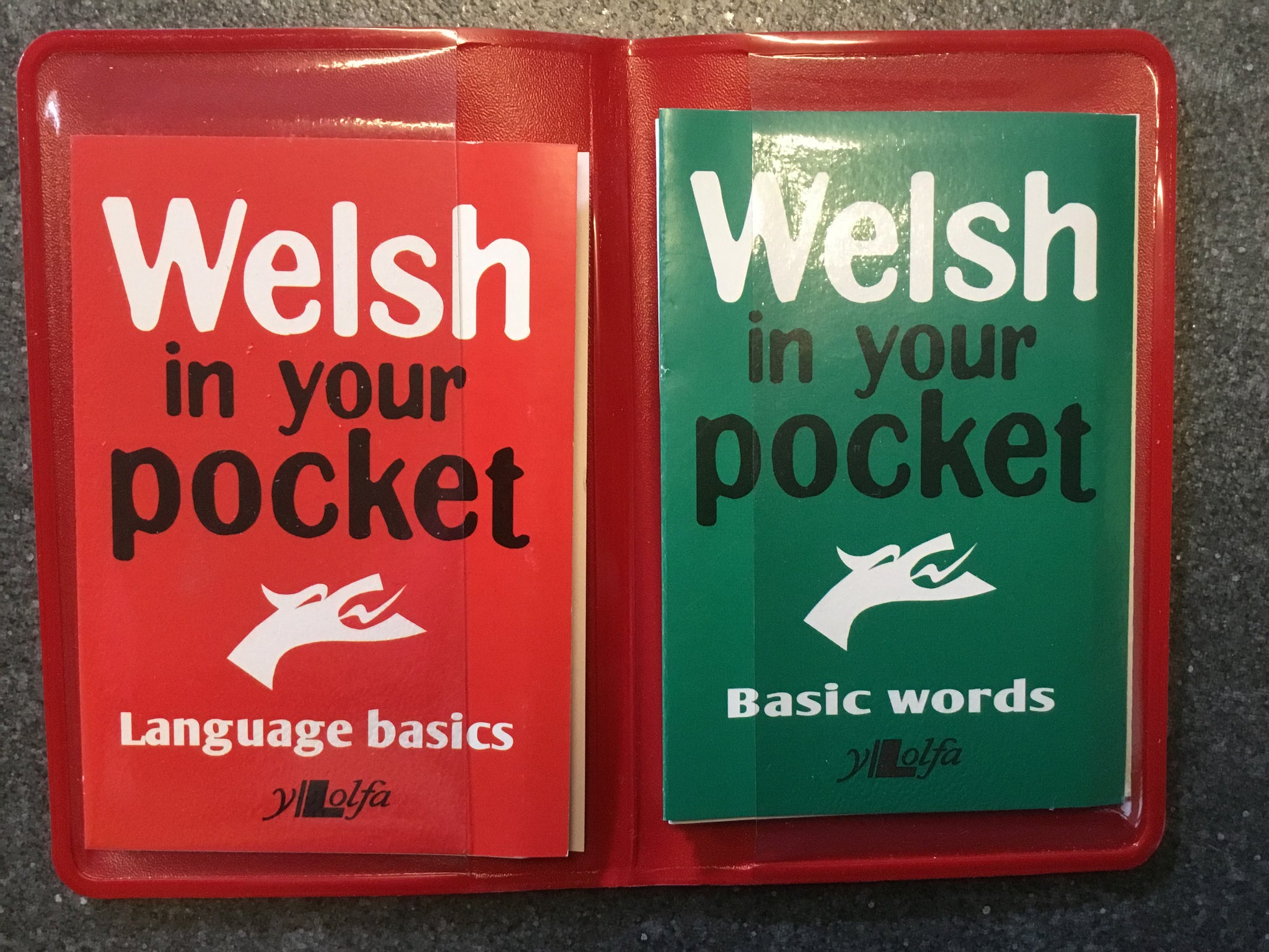 Welsh in your Pocket