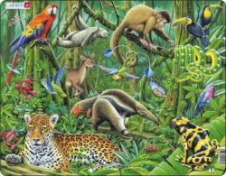 Wildlife of the rainforest - Jigsaw Puzzle
