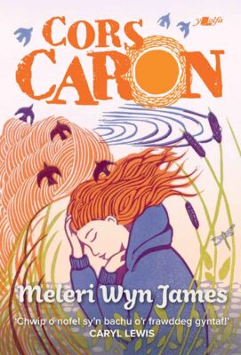 'Cors Caron' by Meleri Wyn James