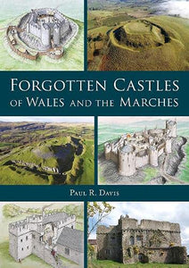 'Forgotten Castles of Wales and the Marches' by Paul R. Davis