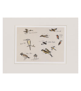 Collection of birds - Sir Kyffin Williams Print