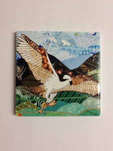 Ceramic coaster 'Osprey 2' by Josie Russell