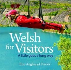 Welsh for Visitors by Elin Angharad Davies